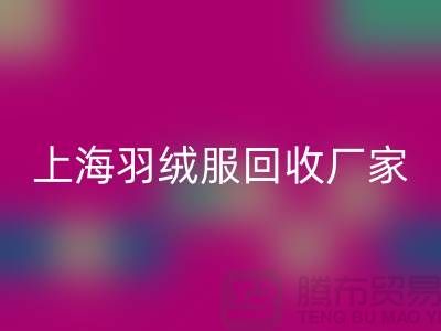 羽绒服开云手机入口官网：环保与经济的双重考量，上海厂家引领行业新风尚