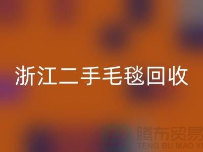 二手毛毯开云手机入口官网，旧物新生的【浙江，上海，江苏】绿色的库存之旅