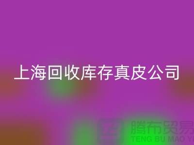 环保与创新：开云手机入口官网库存真皮和羊皮的重要性_上海腾布贸易ShTengBu.com