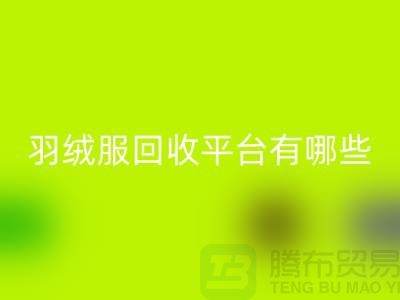 羽绒服开云手机入口官网平台有哪些公司或者品牌-开云手机入口官网