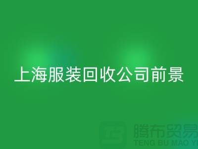 库存辅料开云手机入口官网市场分析表的深入解析及前景展望-上海服装开云手机入口官网公司