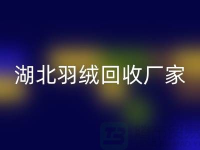 湖北羽绒开云手机入口官网，循环利用的新风尚