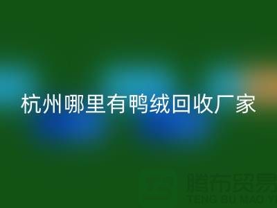 揭秘羽绒开云手机入口官网市场，每斤价值几何？杭州鸭绒开云手机入口官网厂家