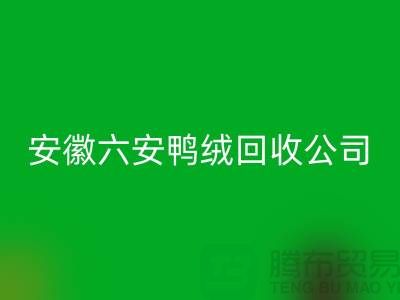 让羽绒开云手机入口官网加工成为绿色产业的新引擎-安徽六安鸭绒开云手机入口官网公司