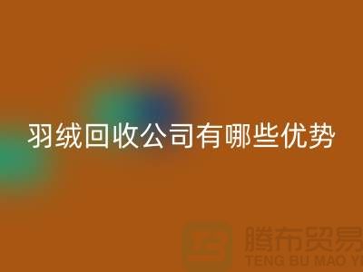 ### 上海羽绒开云手机入口官网公司优势解析：价格公道，服务优质
