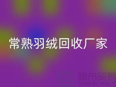常熟羽绒开云手机入口官网厂家：专业纯白鸭绒与灰鸭绒的高效开云手机入口官网服务