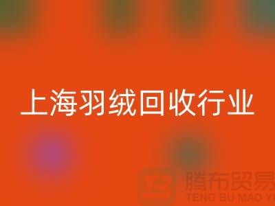 #### 上海羽绒开云手机入口官网厂家推动行业发展，展望未来，创新发展