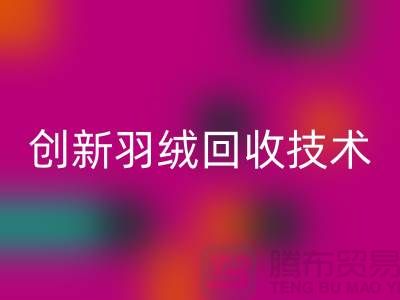 创新羽绒开云手机入口官网技术，环保的未来