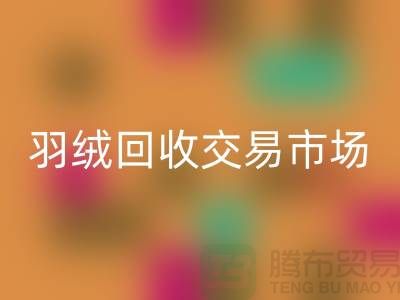 打造绿色未来，羽绒开云手机入口官网交易市场的新篇章