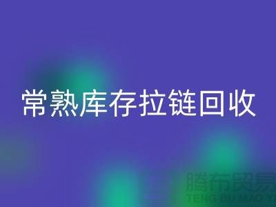 常熟库存拉链开云手机入口官网公司市场前景的挑战与支持政策