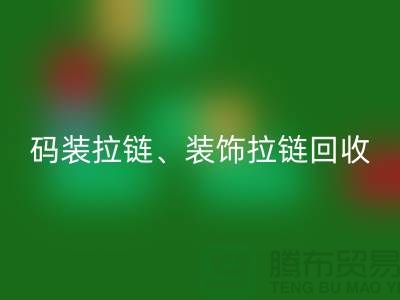 拉链开云手机入口官网市场前景分析 - 码装拉链，装饰拉链，上海拉链开云手机入口官网厂家