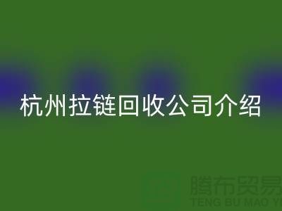 库存拉链开云手机入口官网市场前景分析——杭州拉链开云手机入口官网公司篇