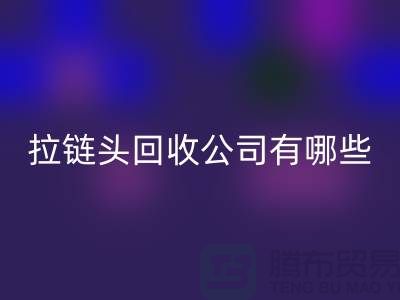 拉链头开云手机入口官网公司有哪些名字或者品牌-上海拉链开云手机入口官网市场