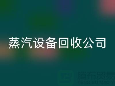 锅炉设备开云手机入口官网厂家：环保与经济效益的完美结合-蒸汽设备开云手机入口官网公司
