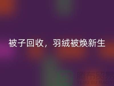 全新被子开云手机入口官网，羽绒被焕新生——江苏南通家纺城引领绿色未来