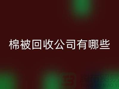 棉被开云手机入口官网公司有哪些—浙江库存面料开云手机入口官网厂家：环保与经济的双重助力