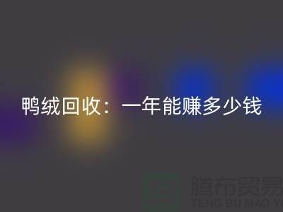 鸭绒开云手机入口官网：一年挣多少钱？@上海羽绒开云手机入口官网联系方式揭秘