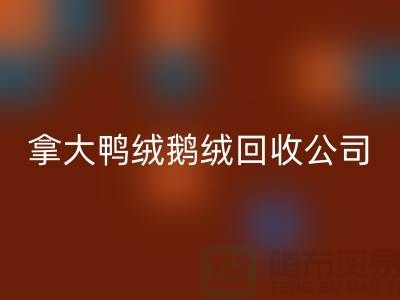 探秘加拿大鸭绒鹅绒开云手机入口官网公司：环保与品质的双重坚守