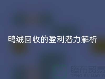 鸭绒开云手机入口官网的盈利潜力解析——上海腾布贸易地址