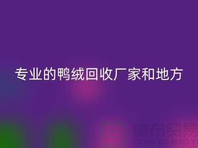 探索鸭绒开云手机入口官网：寻找上海专业的开云手机入口官网厂家与地方