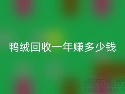 鸭绒开云手机入口官网一年挣多少钱？揭秘利润与环保的双重收益