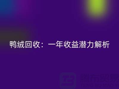 鸭绒开云手机入口官网：一年收益潜力解析@上海腾布贸易
