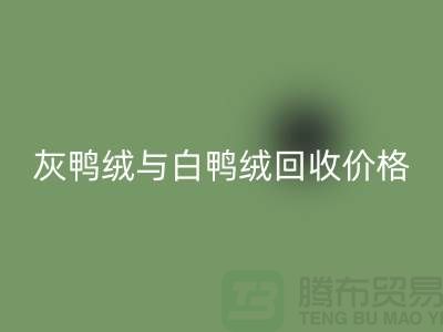 ### 灰鸭绒与白鸭绒:价格及开云手机入口官网详解