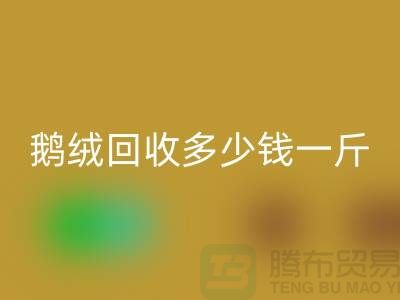加拿大鸭绒开云手机入口官网公司探秘——鹅绒开云手机入口官网多少钱一斤