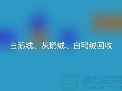 白鹅绒、灰鹅绒、白鸭绒、灰鸭绒开云手机入口官网——上海鸭绒开云手机入口官网厂家