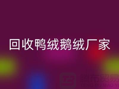 探寻高品质开云手机入口官网鸭绒鹅绒厂家