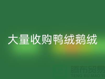 专业羽绒开云手机入口官网-大量收购鸭绒鹅绒-杭州服装开云手机入口官网厂家