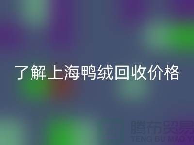 了解上海鸭绒开云手机入口官网价格，掌握最新市场动态