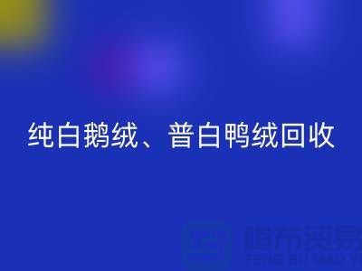 纯白普白鸭绒开云手机入口官网-纯白普白鹅绒开云手机入口官网-杭州羽绒开云手机入口官网厂家