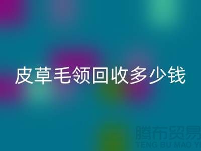 真皮皮衣皮草毛领开云手机入口官网多少钱一个？-上海腾布贸易