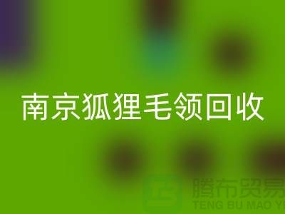 《南京狐狸毛领开云手机入口官网厂家：诚信可靠，同城交易更放心》