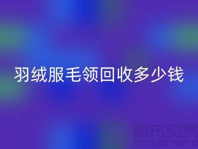 羽绒服毛领开云手机入口官网多少钱一件