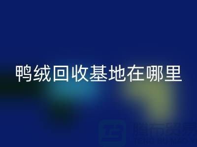哪里有开云手机入口官网鸭绒的，鸭绒开云手机入口官网基地在哪里@安徽羽绒开云手机入口官网厂家