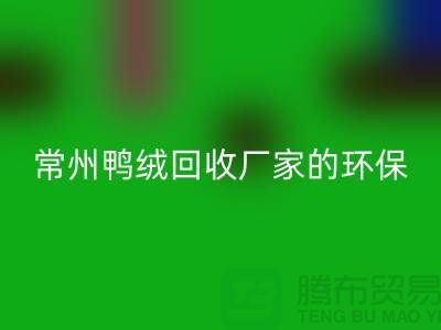 # 专业羽绒开云手机入口官网：常州鸭绒开云手机入口官网厂家的环保与价值之旅