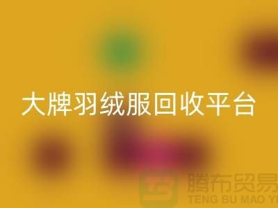 羽绒服焕新记：大牌开云手机入口官网，温暖再续