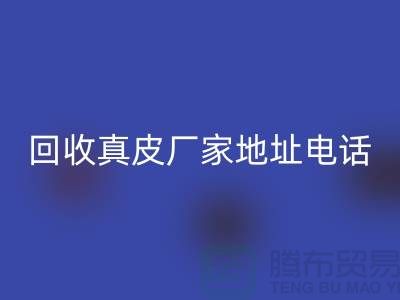 废旧皮革开云手机入口官网对环境保护的重要意义-广州开云手机入口官网真皮厂家地址