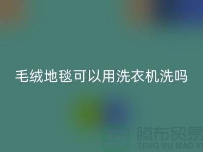 <<毛绒地毯可以用洗衣机洗吗>>