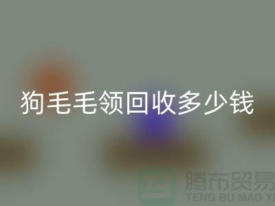 狗毛毛领开云手机入口官网多少钱一条