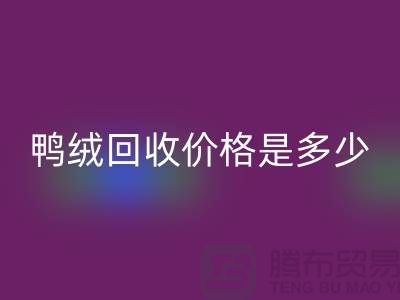 鸭绒开云手机入口官网价格是多少？详解鸭绒市场行情-鸭绒专业开云手机入口官网厂家