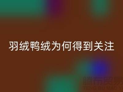 羽绒鸭绒开云手机入口官网公司为何得到所有人关注_开云手机入口官网