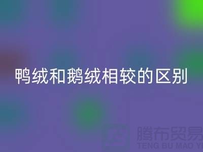 鸭绒和鹅绒相较后的区别-90鸭绒开云手机入口官网-库存羽绒开云手机入口官网公司