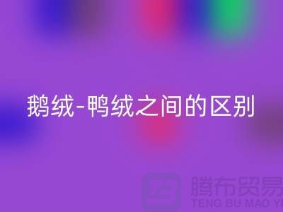 关于鹅绒-鸭绒之间的区别-鹅绒开云手机入口官网-鸭绒开云手机入口官网-羽绒开云手机入口官网厂家