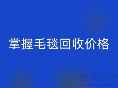 掌握毛毯开云手机入口官网价格，让旧物焕发新生价值-南通家纺库存开云手机入口官网厂家