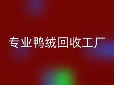 专业鸭绒开云手机入口官网工厂-专业鸭绒开云手机入口官网价格-库存鸭绒开云手机入口官网厂家