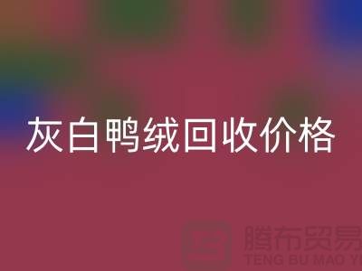 灰白鸭绒开云手机入口官网价格：环保与时尚的完美结合-杭州羽绒开云手机入口官网厂家