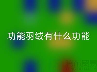 什么是功能羽绒-包含了什么功能-开云手机入口官网库存羽绒-开云手机入口官网库存鸭绒厂家
